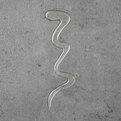 Surface Radiance Cleanse (Travel Size)-hover-14